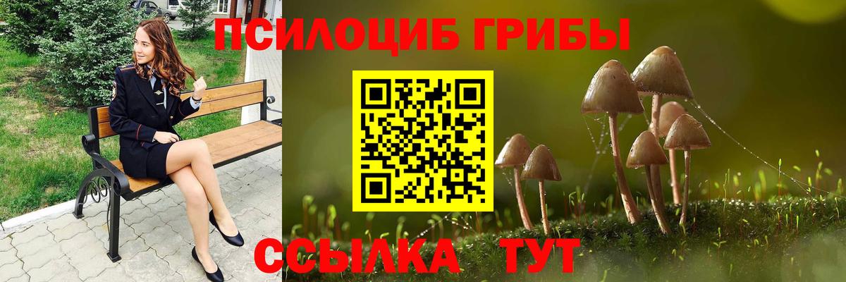 Вязьма  Псилоцибиновые грибы мухоморы  Псилоцибиновые грибы MAGIC MUSHROOMS  Вход с VPN 