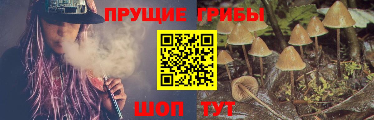 Галлюциногенные грибы Magic Shrooms Вязьма